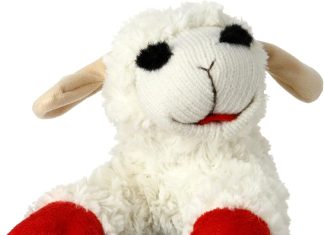 Multipet Plush Dog Toy Review multipet plush dog toy review