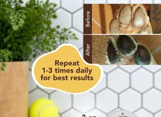 Natural Dog Company Paw Soother Balm Review natural dog company paw soother balm review