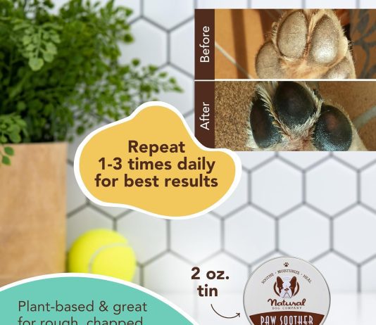 Natural Dog Company Paw Soother Balm Review natural dog company paw soother balm review
