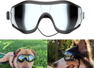 NVTED Dog Sunglasses/Goggles Review nvted dog sunglassesgoggles review