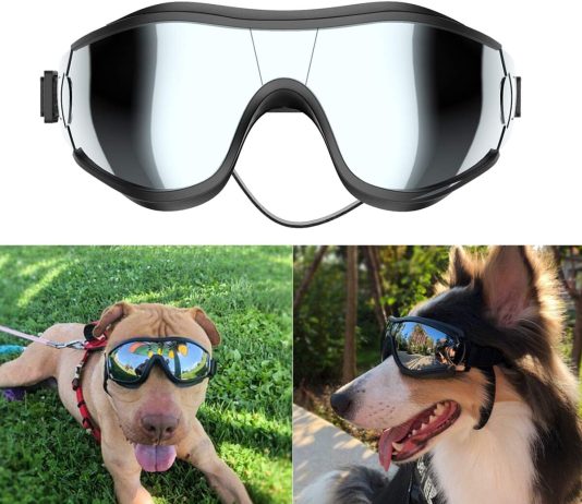 NVTED Dog Sunglasses/Goggles Review nvted dog sunglassesgoggles review