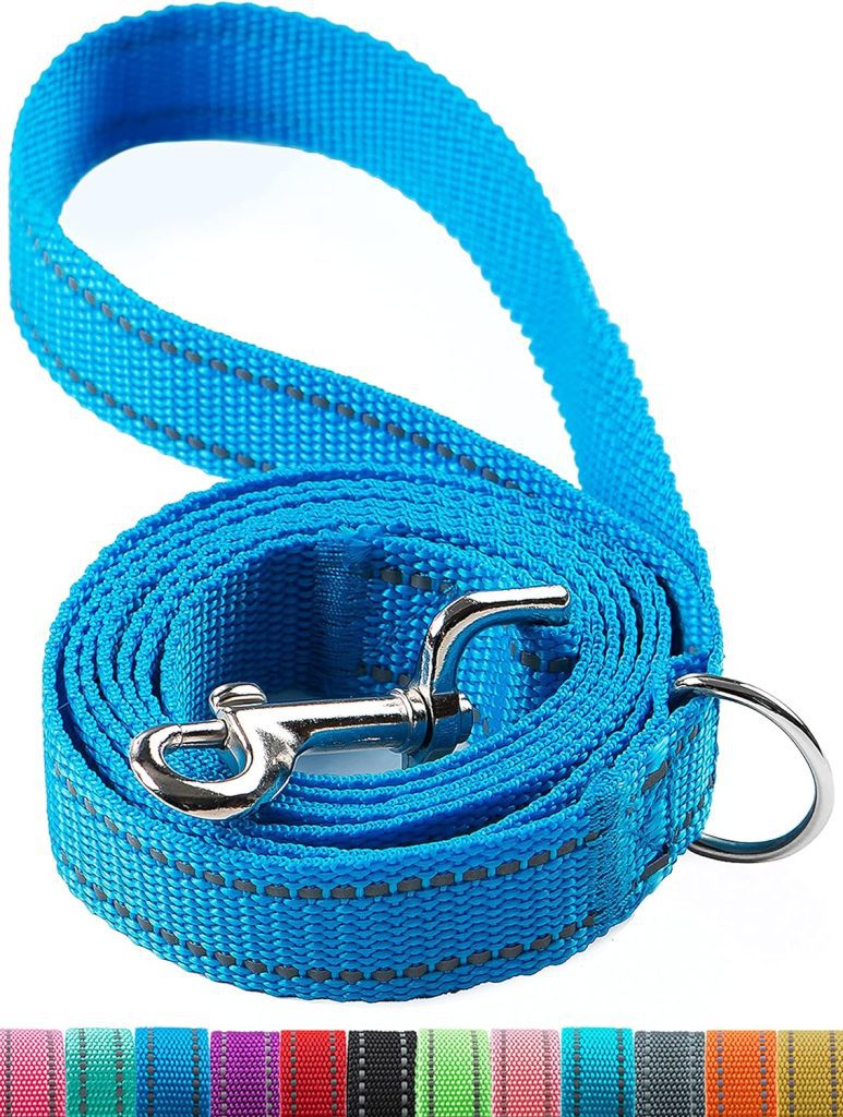 OEFEO 6FT Reflective Dog Leash for LargeMedium and Small Dogs, Strong and Durable Nylon Leashes for Walking and Training, Heavy Duty 6 Foot Dog Leash with D Ring for Puppy (Blue, 3/4 inch x 6FT)