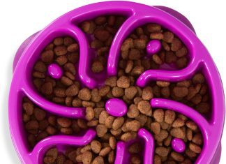 Outward Hound Fun Feeder Slo Bowl Review outward hound fun feeder slo bowl review