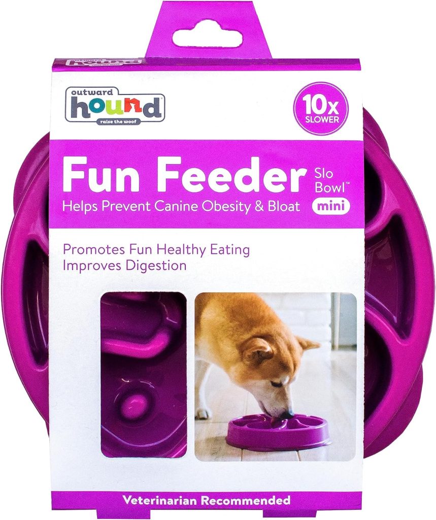 Outward Hound Fun Feeder Slo Bowl, Slow Feeder Dog Bowl, Medium/Mini, Purple