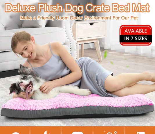 POCBLUE Deluxe Washable Dog Bed Review pocblue deluxe washable dog bed review