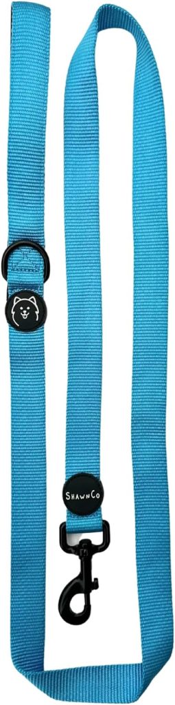 ShawnCo Dream Walk Dog Leash- Premium, Nylon Pet Leash with Soft Neoprene Handle for Small, Medium and Large Dogs (Oceanic Blue, Medium/Large)