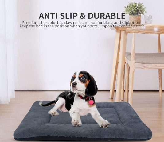 Vetasac Reversible Dog Bed Mat Review vetasac reversible dog bed mat review