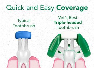 Vet’s Best Dog Toothbrush & Toothpaste Kit Review vets best dog toothbrush toothpaste kit review