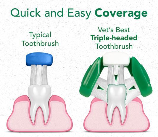 Vet’s Best Dog Toothbrush & Toothpaste Kit Review vets best dog toothbrush toothpaste kit review