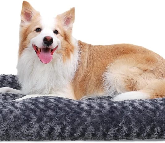 Washable Dog Bed Deluxe Plush Dog Crate Bed Review washable dog bed deluxe plush dog crate bed review