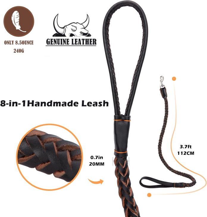5 product comparisons dog leashes collars training tools