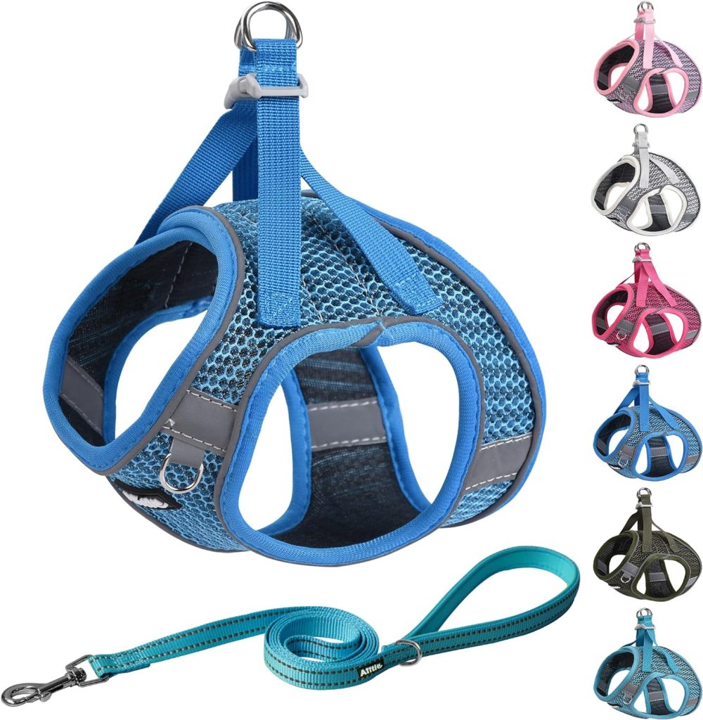 AIITLE Puppy Harness for Small Dogs - Lightweight Air Mesh Puppy Harness - Step in Dog Harness with A Leash - No Pull  No Choke Padded Vest- Reflective Dog Harness for Small Dogs Cats Royal Blue XXS