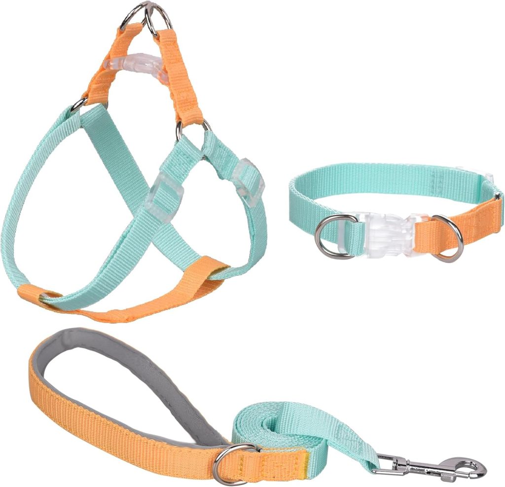 AIITLE Upgraded Dog Halter Harness Collar Leash Set - Durable Adjustable No Pull Dog Halter Harness - Comfortable Padded Handle - for Medium Breed Dogs Outdoor Running Orange-Blue M
