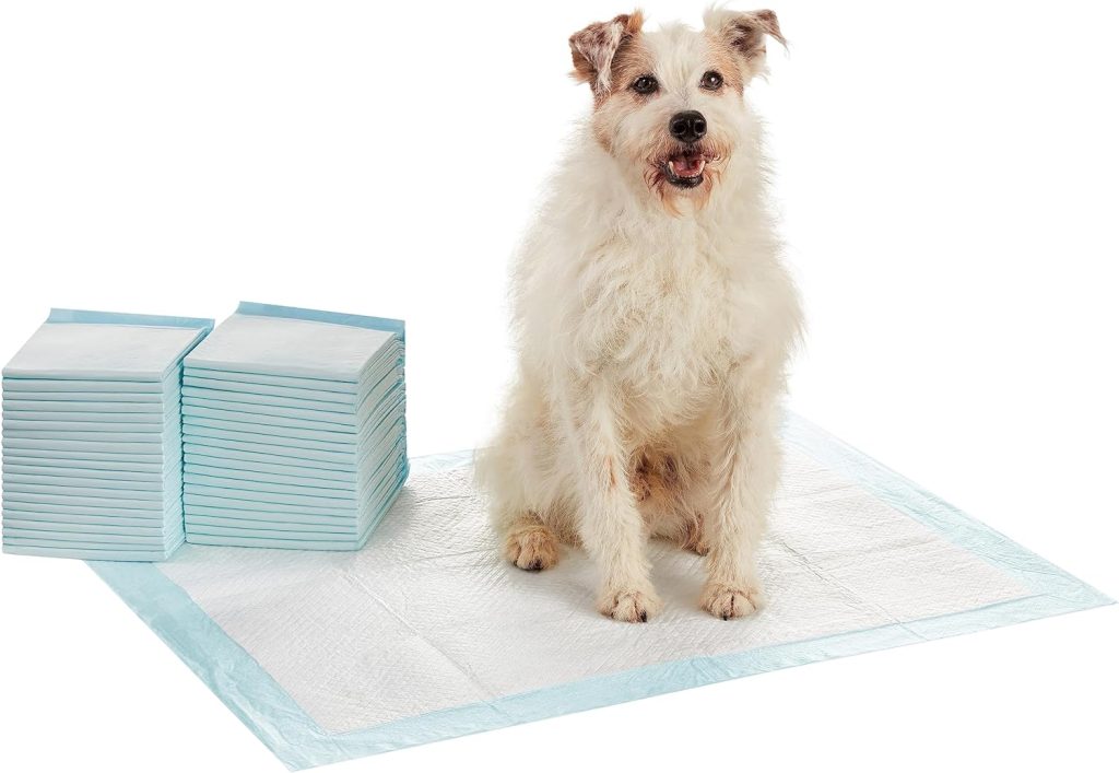 Amazon Basics Dog and Puppy Pee Pads with Leak-Proof Quick-Dry Design for Potty Training, Standard Absorbency, Regular Size, 22 x 22 Inches, Pack of 100, Blue  White