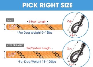 BAAPET Dog Leash Review baapet 2456 ft dog leash with comfortable padded handle and highly reflective threads for small medium and large dogs 5f 1