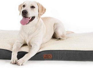 Bedsure Dog Bed Review bedsure dog bed for large dogs big orthopedic dog bed with removable washable cover egg crate foam pet bed mat suitable