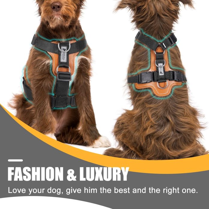 comparing 5 dog harnesses leash sets which one reigns supreme