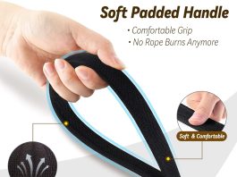 Comparing 5 Dog Leashes for Training and Control comparing 5 dog leashes for training and control