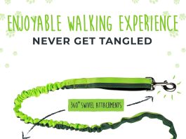 Comparing 5 Hands-Free Dog Leashes: Features, Comfort, and Durability comparing 5 hands free dog leashes features comfort and durability