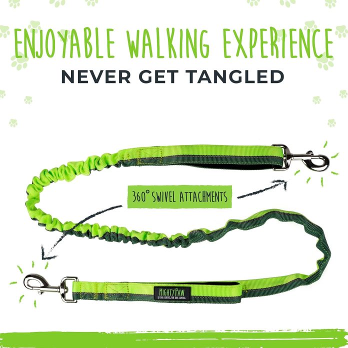 comparing 5 hands free dog leashes features comfort and durability