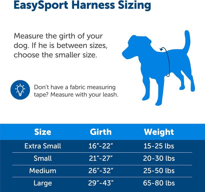comparing 5 pet accessories harnesses leashes collar and more