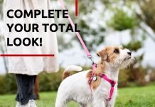 Comparing 5 Top Dog Leashes for Training & Adventure comparing 5 top dog leashes for training adventure