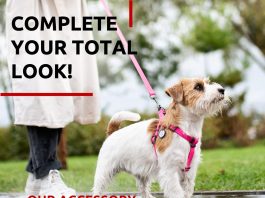 Comparing 5 Top Dog Leashes for Training & Adventure comparing 5 top dog leashes for training adventure