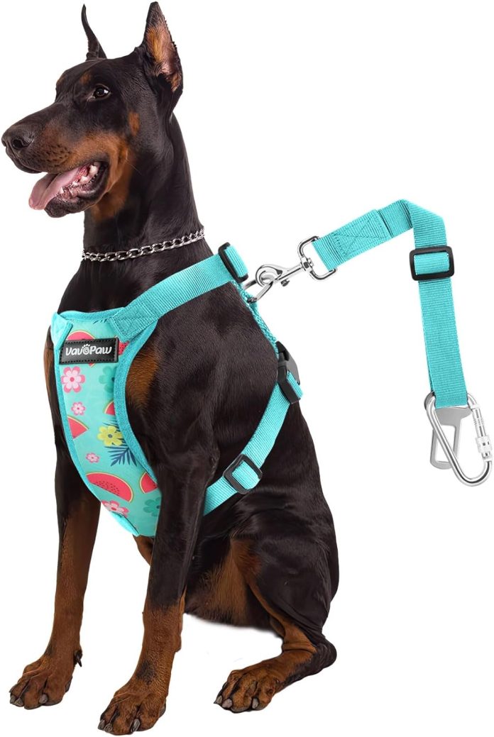 comparing dog vehicle safety vests car seat belts and leashes