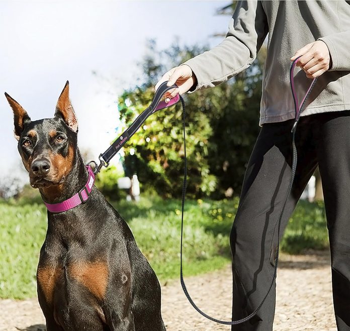comparing heavy duty dog leashes a in depth review