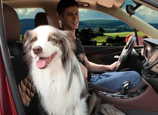 Dog Car Seat Covers Waterproof Review dog car seat covers 100 waterproof car seat protector for pets front seat scratch proof non slip durable for carstrucks 1 3