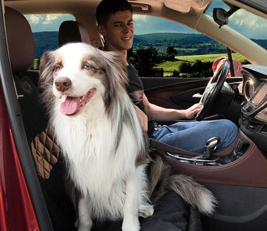 Dog Car Seat Covers Waterproof Review dog car seat covers 100 waterproof car seat protector for pets front seat scratch proof non slip durable for carstrucks 1 3