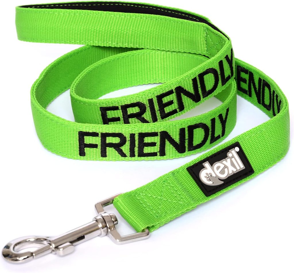 FRIENDLY Green Color Coded 2 4 6 Foot Padded Dog Leash (Known As Friendly) PREVENTS Accidents By Warning Others of Your Dog in Advance (Standard Leash)