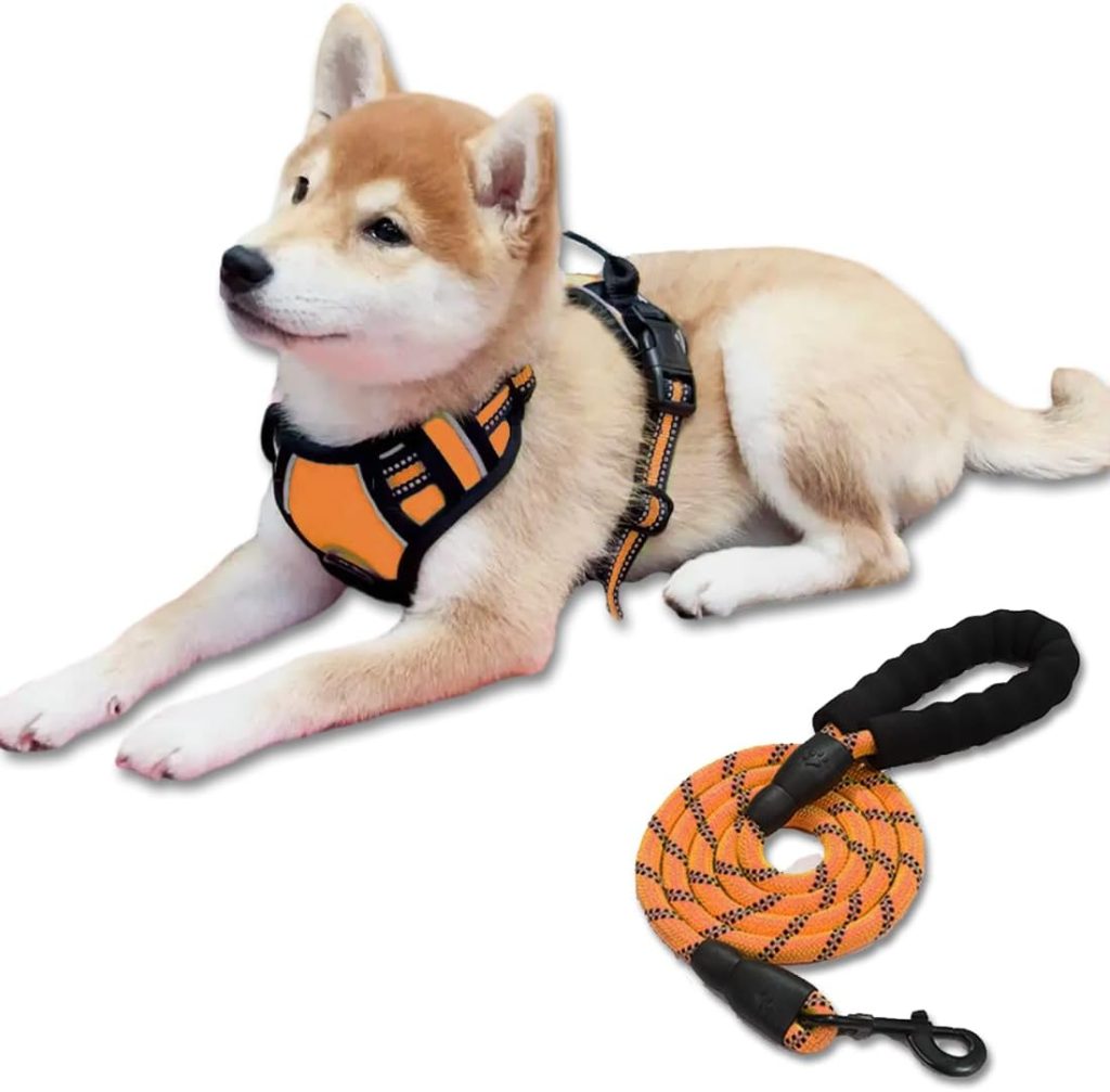 FSFFEVER Dog Puppy Harness and Leash Set No Pull Dog Chest Harness with Leash Training no Choke Adjustable Outdoor Reflective Oxford Material Soft Padded for Small Medium Large Dogs (S, Orange)