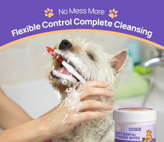 HICC PET Teeth Cleaning Wipes Review hicc pet teeth cleaning wipes review
