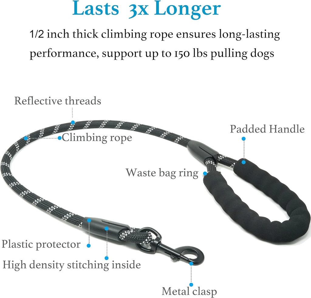 iYoShop Dual Dog Leash, Double Dog Leash, 360 Swivel No Tangle Walking Leash, Shock Absorbing Bungee for Two Dogs, Black, Large (25-150 lbs)