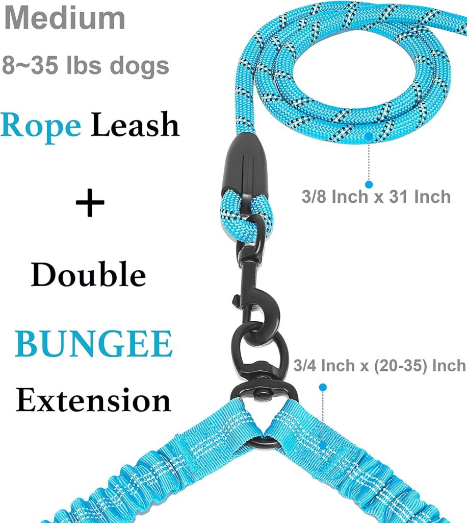 iYoShop Dual Dog Leash, Double Dog Leash, 360 Swivel No Tangle Walking Leash, Shock Absorbing Bungee for Two Dogs, Black, Large (25-150 lbs)