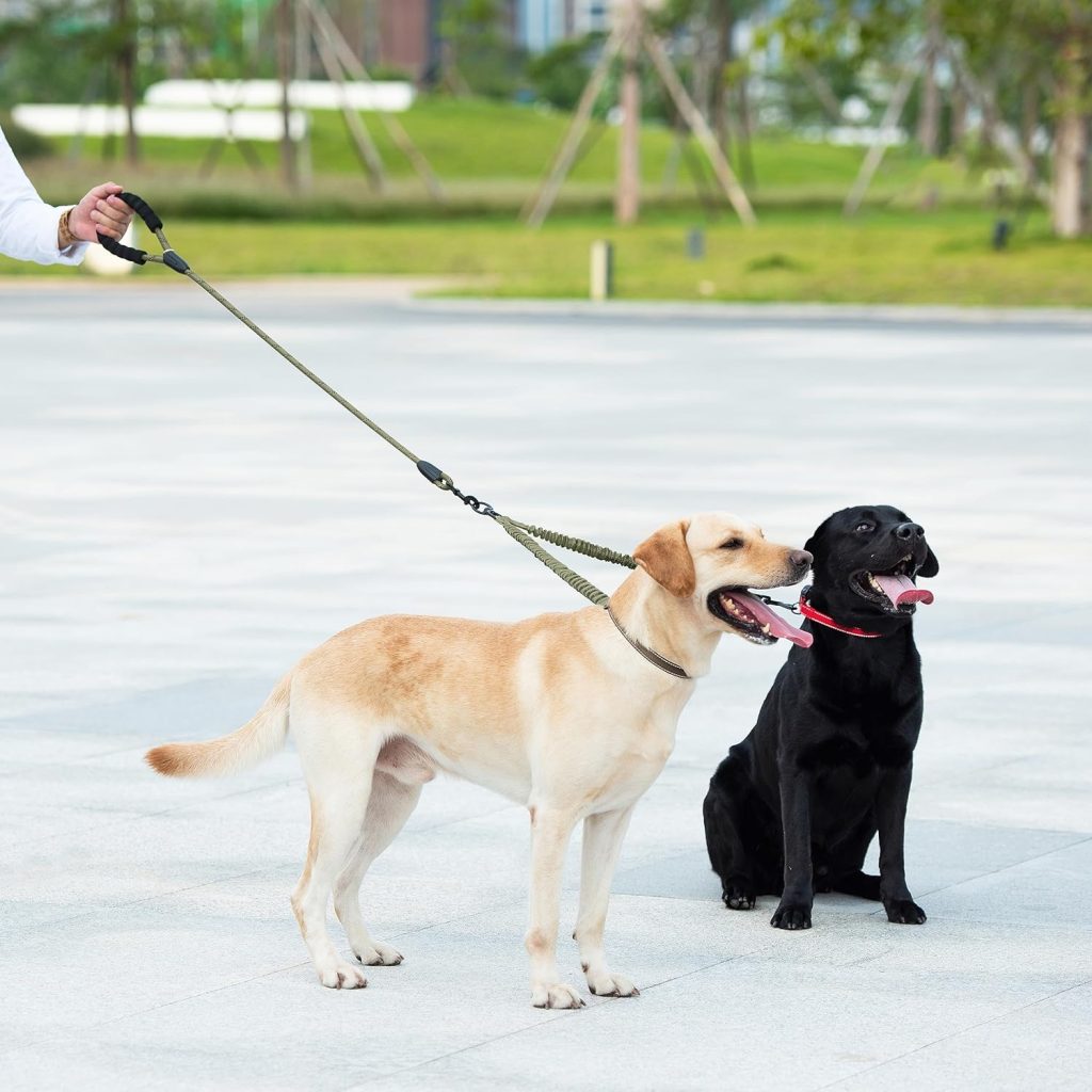 iYoShop Dual Dog Leash, Double Dog Leash, 360 Swivel No Tangle Walking Leash, Shock Absorbing Bungee for Two Dogs, Black, Large (25-150 lbs)