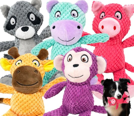 Jalousie 5 Pack Squeaky Plush Toys Review jalousie 5 pack squeaky plush toys assortment value bundle puppy pet mutt squeak toy for medium large dogs