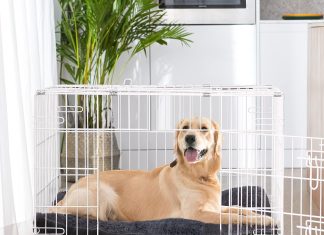 JOEJOY Large Dog Bed Crate Pad Review joejoy large dog bed crate pad ultra soft calming dog crate bed washable anti slip kennel crate mat for extra large medi 3