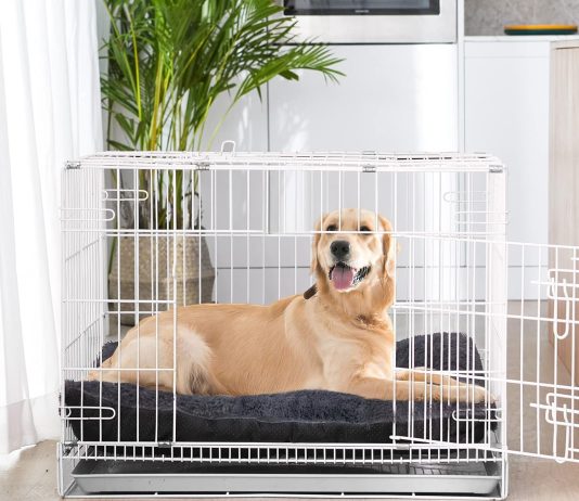 JOEJOY Large Dog Bed Crate Pad Review joejoy large dog bed crate pad ultra soft calming dog crate bed washable anti slip kennel crate mat for extra large medi 3