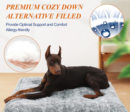 KISYYO Deluxe Dog Bed Mat Review kisyyo deluxe dog bed mat for large dogs fluffy cozy kennel pad washable dog crate mat 36 inch with pillow edge design 2