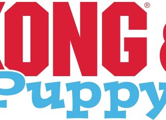 KONG Puppy Toy Natural Teething Rubber Review kong puppy toy natural teething rubber fun to chew chase and fetch for medium puppies pink 1