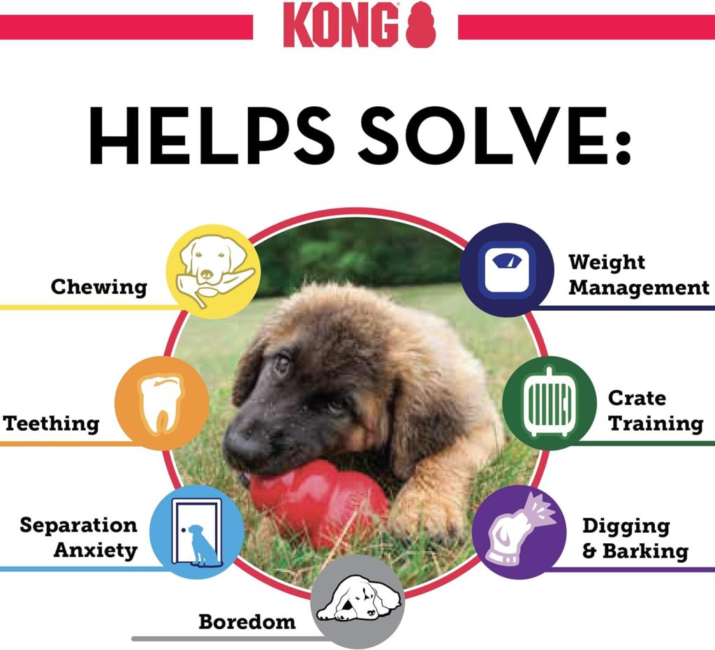 KONG - Puppy Toy Natural Teething Rubber - Fun to Chew, Chase and Fetch - for Medium Puppies - Pink