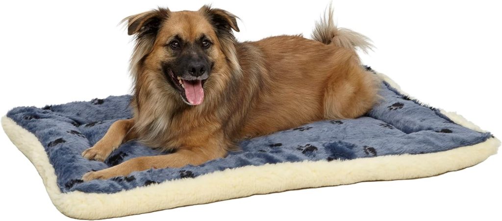 MidWest Homes for Pets Reversible Paw Print Pet Bed in Blue / White, Dog Bed Measures 17L x 11W x 1.5H for Tiny Dog Breed, Machine Wash