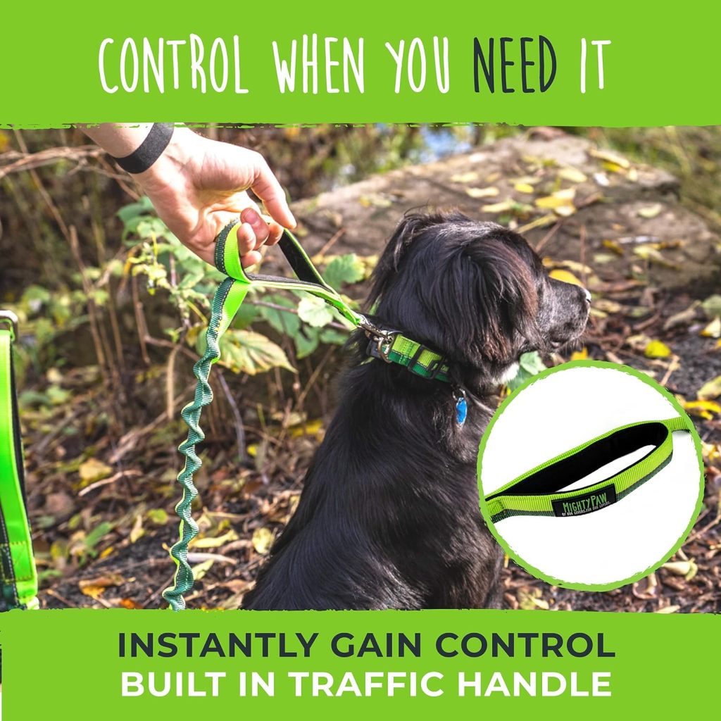 Mighty Paw Hands Free Bungee Leash 2.0 | 4’ Dog Lead W/Dual Padded Traffic Handles for Running, Hiking  Jogging. Wearable Belt (27-48” Waistband) W/ 2 Attachment Loops. Pets Up to 150lb (Green)