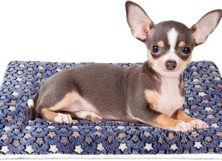 Mora Pets Dog Bed Crate Pad Review mora pets dog bed crate pad ultra soft pet bed with cute star print washable crate mat for large medium small dogs rever