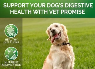 No Poo Chews Review no poo chews for dogs coprophagia stool eating deterrent for dogs prevent dog from eating poop stop eating poop for dogs 2