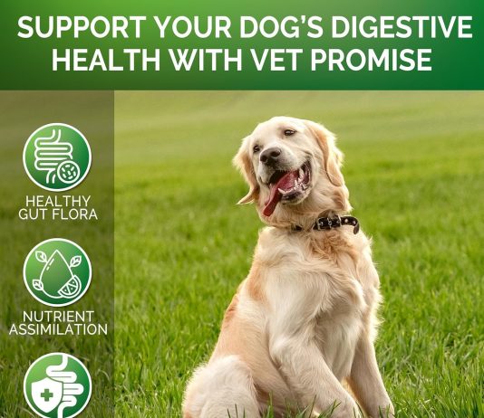 No Poo Chews Review no poo chews for dogs coprophagia stool eating deterrent for dogs prevent dog from eating poop stop eating poop for dogs 2