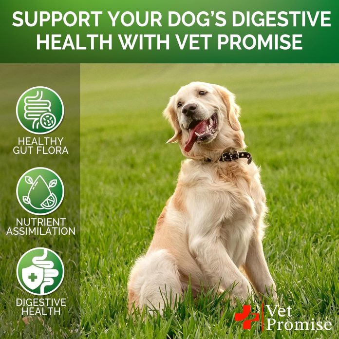 no poo chews for dogs coprophagia stool eating deterrent for dogs prevent dog from eating poop stop eating poop for dogs 2