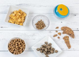 Pet Zone Treat Ball Review pet zone iq treat ball dog treat dispenser toy ball interactive dog toy 4 dog food toy stimulation slow feeder 2